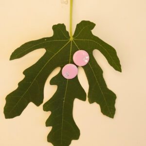 celebrate pink product image