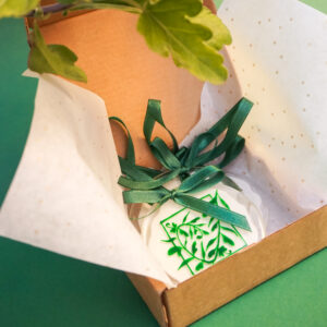 ornaments box