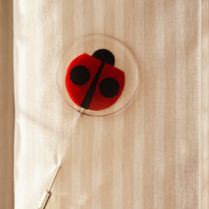 brooch lady bug