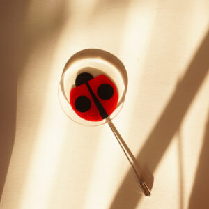 brooch lady bug