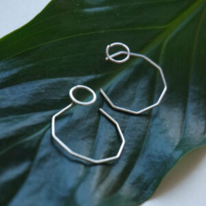 hoops octagon