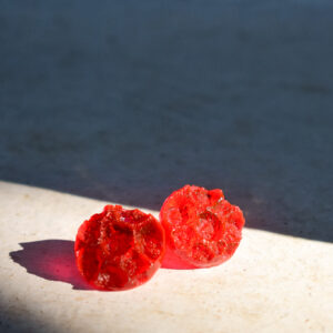 red earrings sea creatures