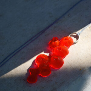 red necklace sea creatures-2