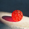 red ring sea creatures-2