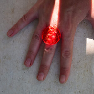 red ring sea creatures