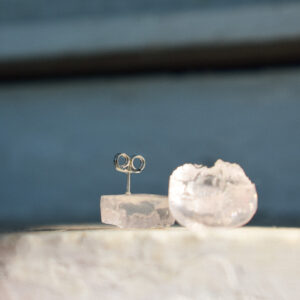 transparent earrings sea creatures-3