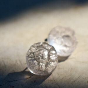 transparent earrings sea creatures