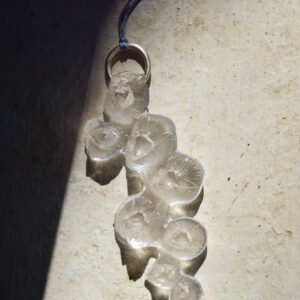 transparent necklace sea creatures