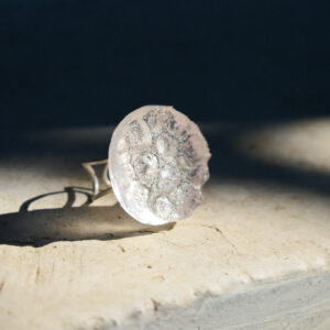 transparent ring sea creatured